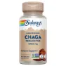 Solaray Chaga Fermented 1000mg Immunity Kapslar 60 Enheter, One size
