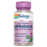 Solaray Extrakt Av Astragalusrot 200 Mg 30 Enheter Solaray Extrakt Av Astragalusrot 200 Mg 30 Enheter