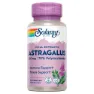 Solaray Extrakt Av Astragalusrot 200 Mg 30 Enheter, Lila, One Size