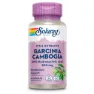 Solaray Garcinia Cambogia 500mg Kapslar 60 Enheter, One size