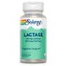 Solaray Laktas 40 Mg 4000 Fcc 100 Enheter, One size