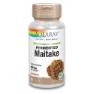 Solaray Maitake 500mg Kapslar 60 Enheter, One size