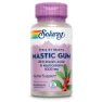 Solaray Mastic Gum 500mg Kapslar 45 Enheter, Pink, One Size
