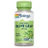 Solaray Olive Leaf 410mg Kapslar 100 Enheter, Multicolour, One Size