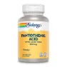Solaray Pantotensyra 500mgr 100 Enheter, One size