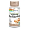 Solaray Royal Agaricus 500 Mg 60 Enheter, Beige, One Size
