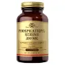 Solgar Phosphatidyl-serine 200mg Kapslar 60 Enheter, Brown, One Size