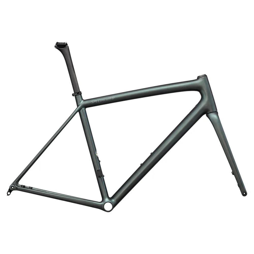 Specialized Aethos 2024 Landsvägscykelram, Carbon / fog tint, 61