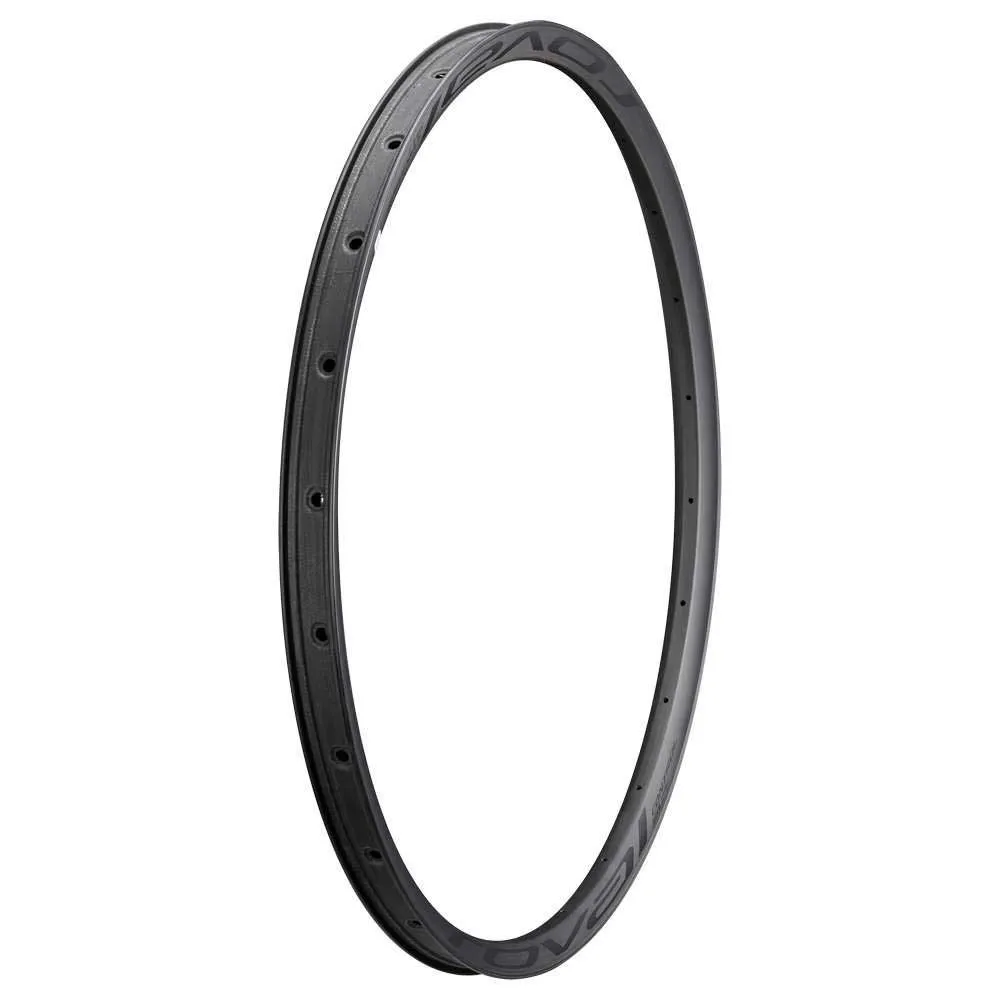 Specialized Control Sl 29´´ Disc 29 Mm Internal Fälg, Satin carbon / black, 29" 24H