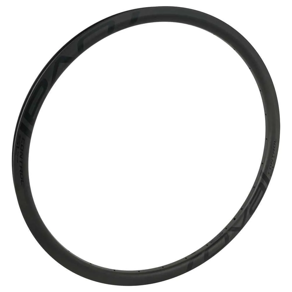 Specialized Control Sl Disc 25 Mm Internal Bakfälg, Satin carbon / black, 29" 28H