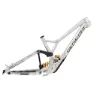 Specialized Demo Race 2025 Mtb-ram
