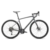Specialized Diverge E5 Elite 700 2025 Gravelcykel