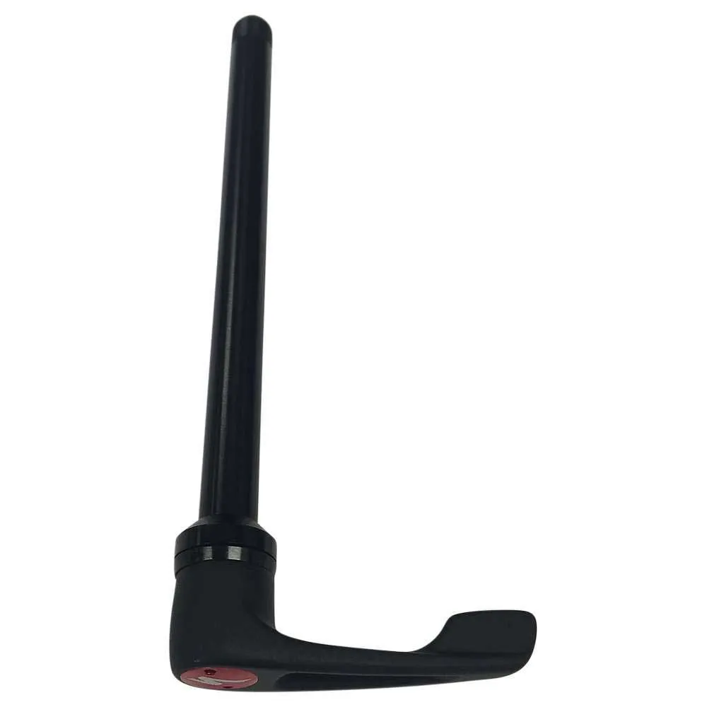 Specialized Dt Swiss Rws M12x1.0px166 Mm Bakre Genomgående Axel, Black, 12 x 142mm