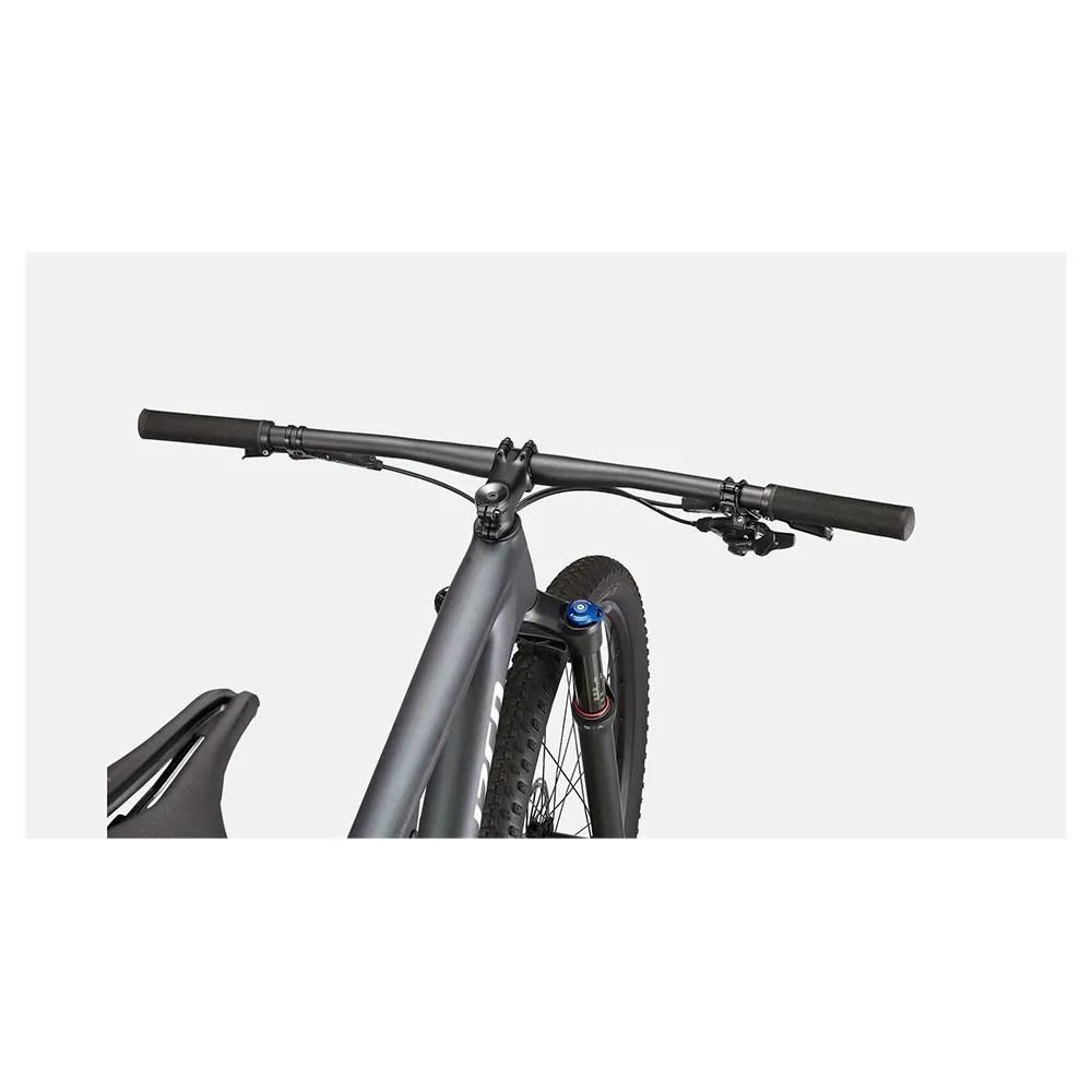 Specialized Epic Comp 29´´ 2022 Mtb Cykel, Carbon / oil / flake silver, M