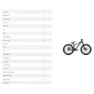 Specialized P.1 20´´ 2023 Bmx Cykel, Satin rusted red overspray / blaze / morning mist, One Size