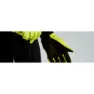 Specialized Prime-series Wp Handskar