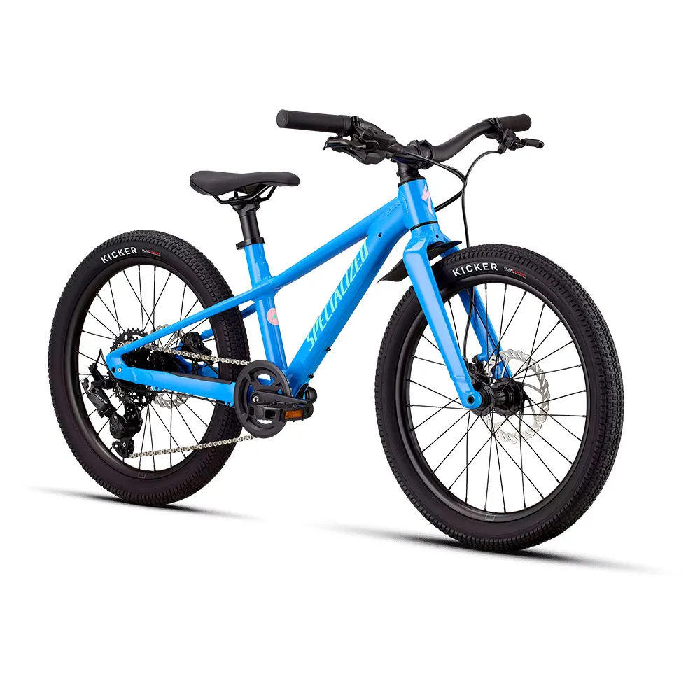Specialized Riprock 20´´ Acolyte 2026 Mtb Cykel