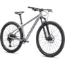 Specialized Rockhopper Expert 29´´ Mtb Cykel, Satin silver dust / black holographic foil, XXL