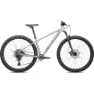 Specialized Rockhopper Expert 29´´ Mtb Cykel, Satin silver dust / black holographic foil, XXL