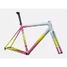 Specialized S WORKS Crux Gravel Frameset