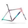 Specialized Sworks Crux Gravel Frameset 2026