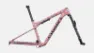 Specialized Sworks Epic World Cup Mountain Bike Frameset