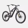 Specialized Turbo Levo SL 2 Expert 2026 MTB EBike Shimano XT Di2, Carbon / burnt gold, S2, 320Wh