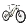 Specialized . Turbo Levo SL Expert Carbon Complete MTB Ebike, GLOSS BIRCH / TAUPE, S4
