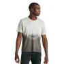 Dove grey spray