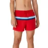 Speedo Colorblock Volley 14´´ Simshorts male