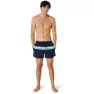 Speedo Colorblock Volley 14´´ Simshorts male