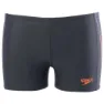 Speedo Colour Blend Placement Panel Aquashort Badbyxor Boxer male, Oxid grey / deep peri / siren