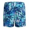 Speedo Digi Printed 13´´ Badbyxor Boxer male