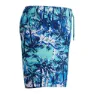 Speedo Digi Printed 13´´ Badbyxor Boxer male