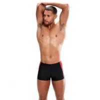 Speedo Dive Badbyxor Boxer male