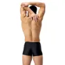 Speedo Dive Badbyxor Boxer male