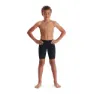 Speedo Eco Endurance+ Jammer male