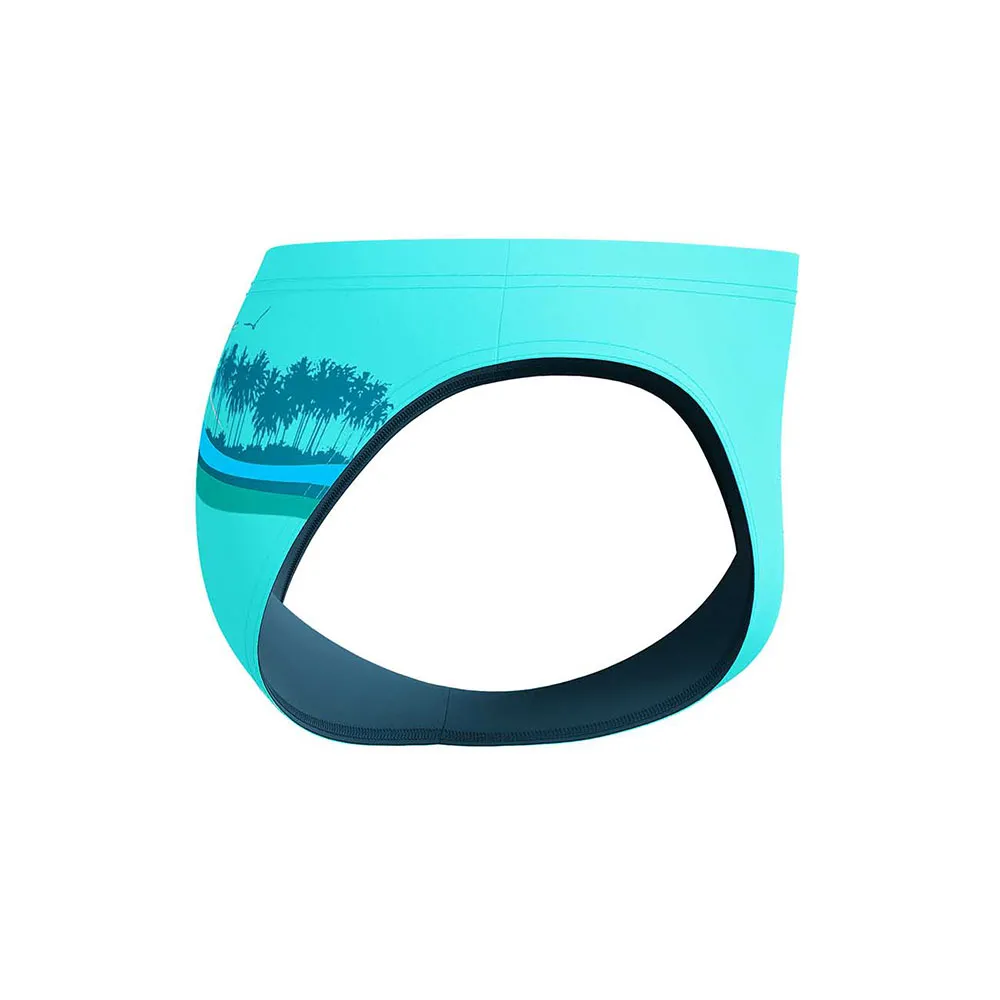 Speedo Eng Print Beachstar 2´´ Badbyxor male