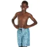 Speedo Forestfield Printed Leisure 17´´ Simshorts male, Stellar / turquoise, 8-9Y