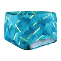 Speedo Geo Stripe V 17 Cm Club Training Allover Badbyxor Boxer male