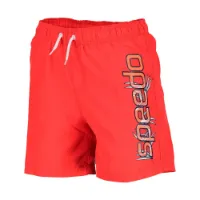 Speedo Graphic Leisure 15´´ Simshorts male Speedo Graphic Leisure 15´´ Simshorts male