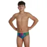 Speedo Hyperchromatic Allover 6.5 Cm Badbyxor male