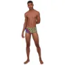Speedo Jungleglare Allover 16 Cm Badbyxor Boxer male