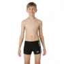 Speedo Marvel Avengers Badshorts male