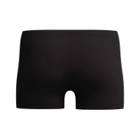 Speedo Medley Logo Simshorts male