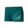 Deep emerald / alfalfa green