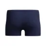 Speedo Medley Logo Simshorts male