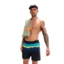 Speedo Placement Leisure 16´´ Simshorts male