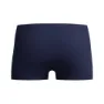 Speedo Plastisol Placement Simshorts male