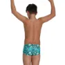 Speedo Pond Life 13 Cm Club Training Allover Badbyxor male